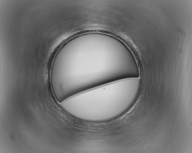 X0000110891167200906181000