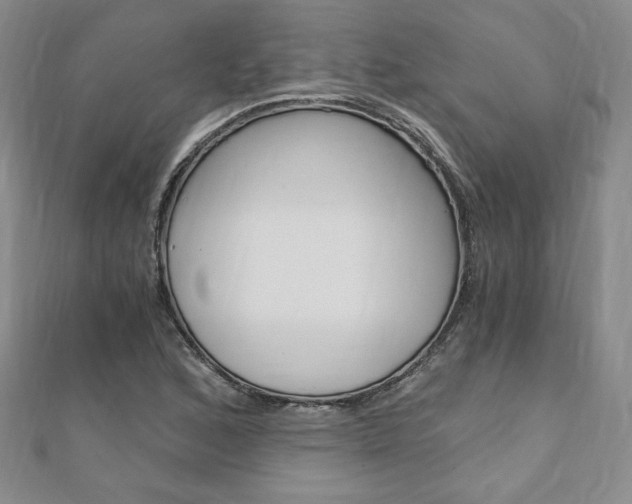 X0000110891168200906181000