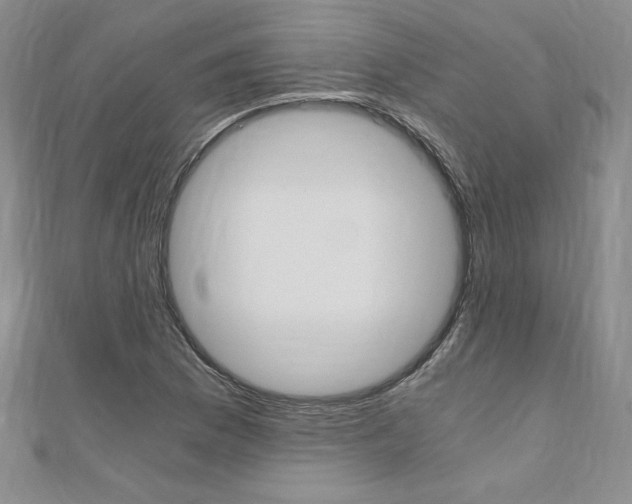 X0000110891169200906181000