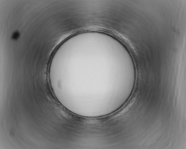 X0000110891170200906181000