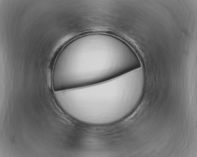 X0000110891171200906181000