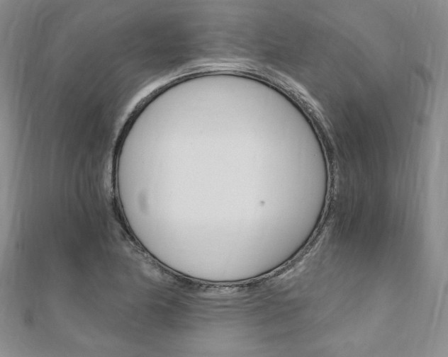 X0000110891174200906181000