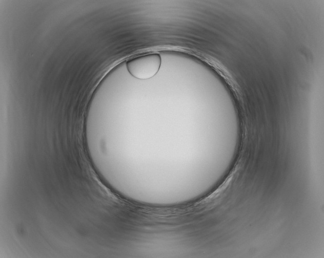 X0000110891177200906181000