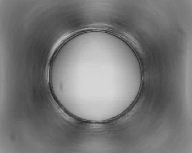 X0000110891180200906181000