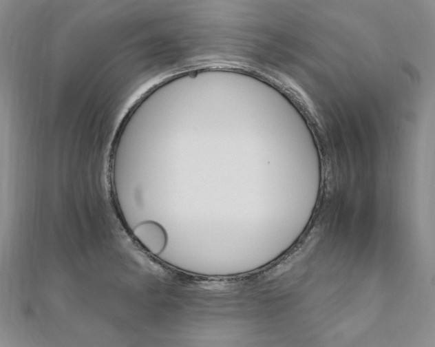 X0000110891182200906180959
