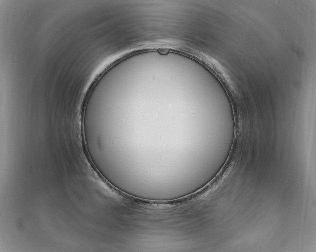 X0000110891184200906180959