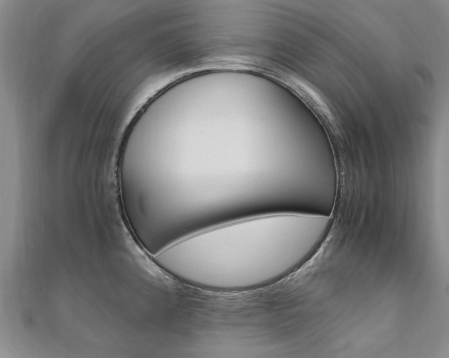 X0000110891192200906180959