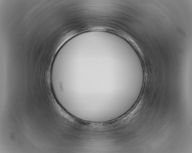 X0000110891194200906180959