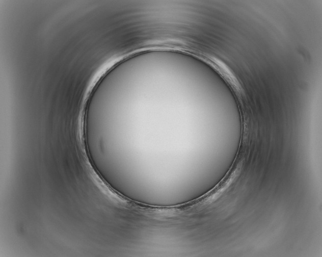 X0000110891196200906180959