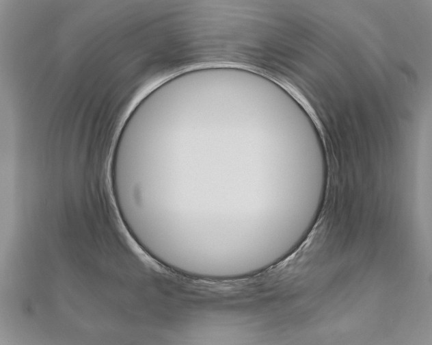X0000110891197200906180959