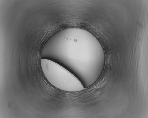 X0000110891202200906180958