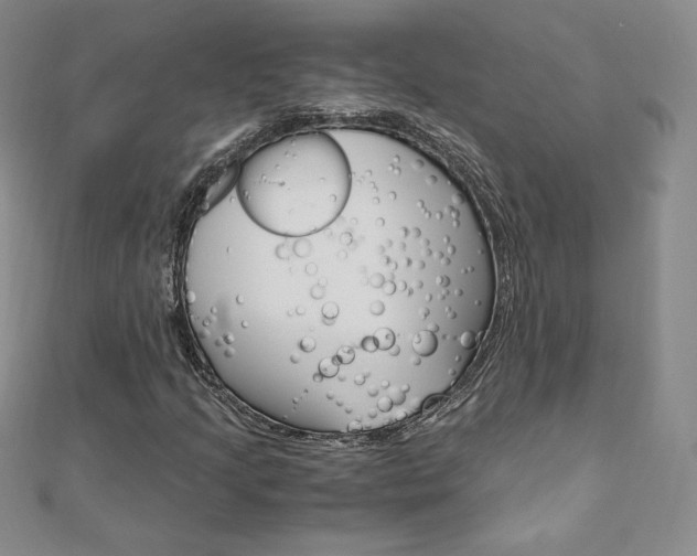 X0000110891205200906180959