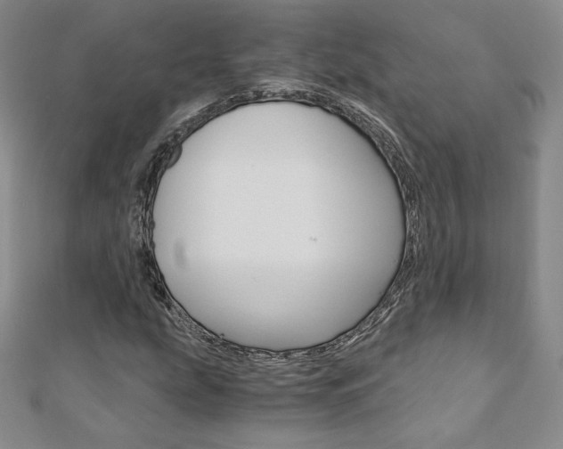 X0000110891207200906180959