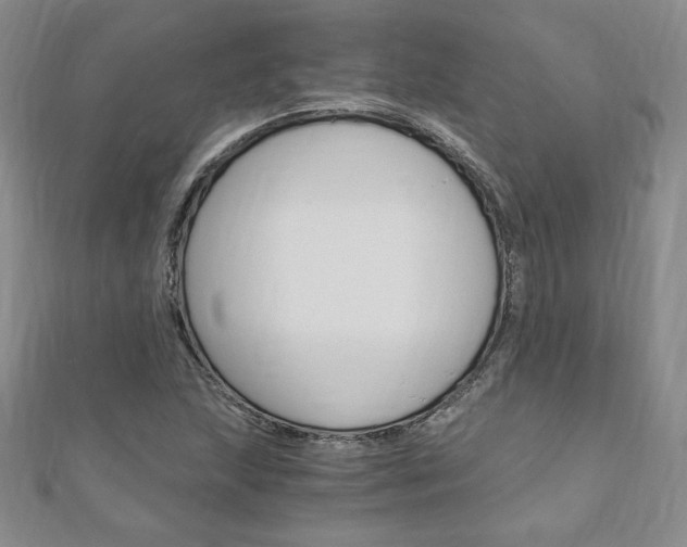 X0000110891215200906180959