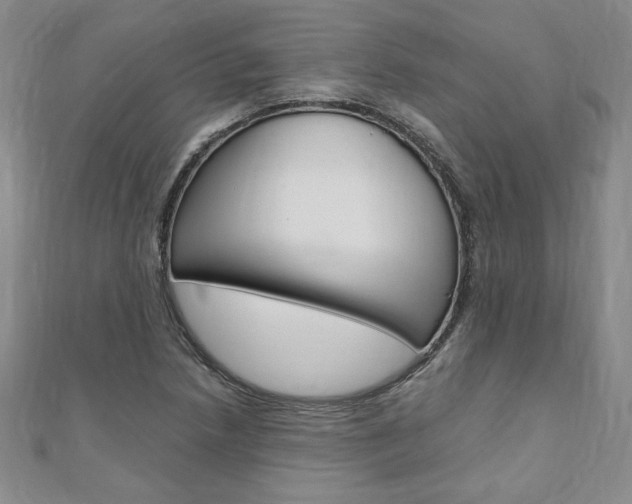 X0000110891218200906180959
