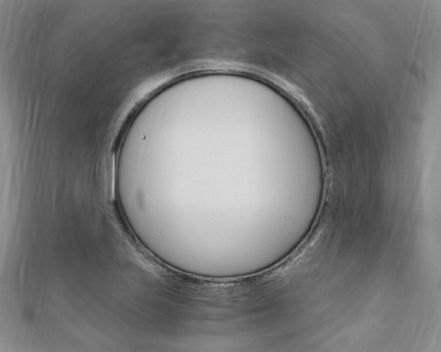 X0000110891223200906180959