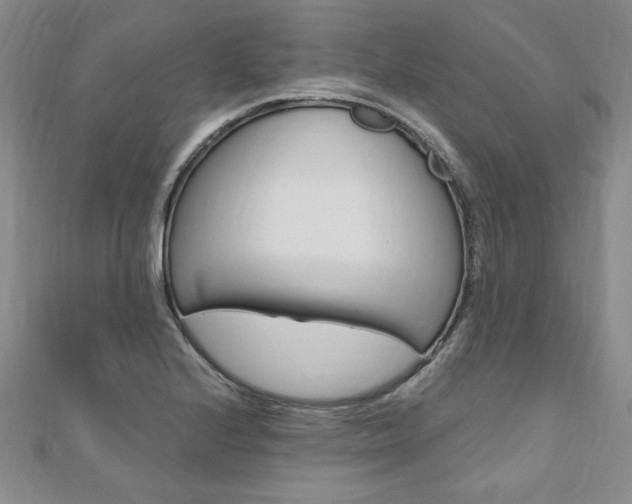X0000110891224200906180959