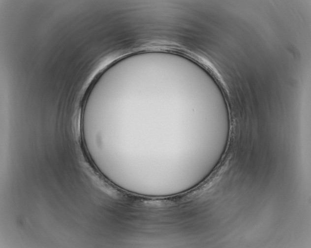 X0000110891227200906180959