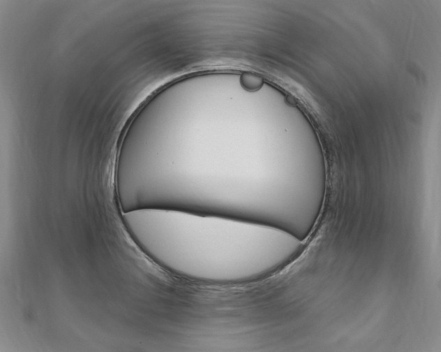 X0000110891228200906180959