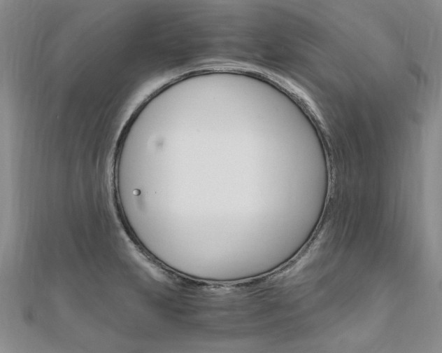 X0000110891231200906180959