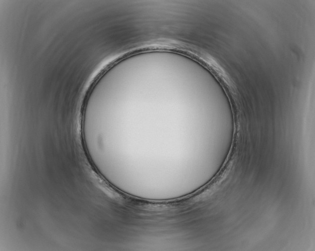 X0000110891232200906180959
