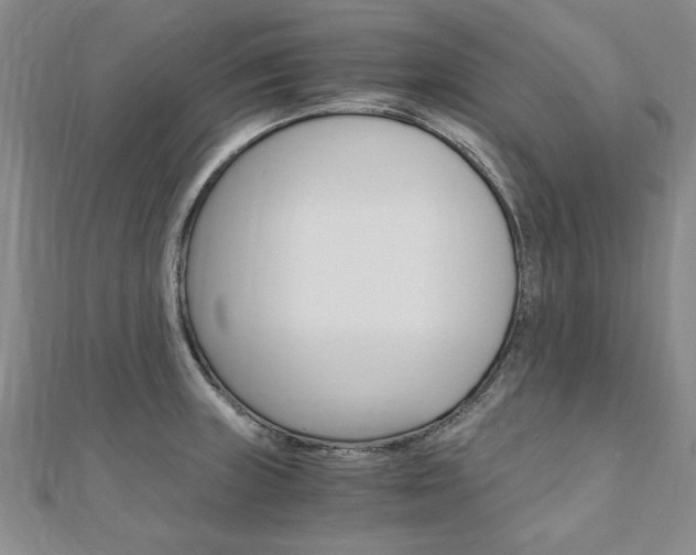 X0000110891235200906180959