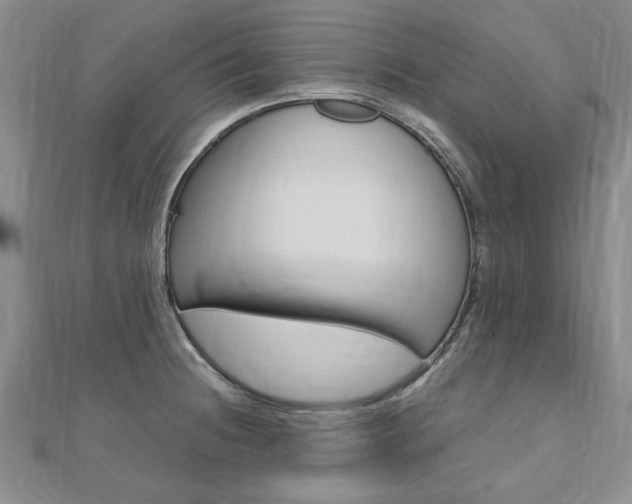 X0000110891236200906180959