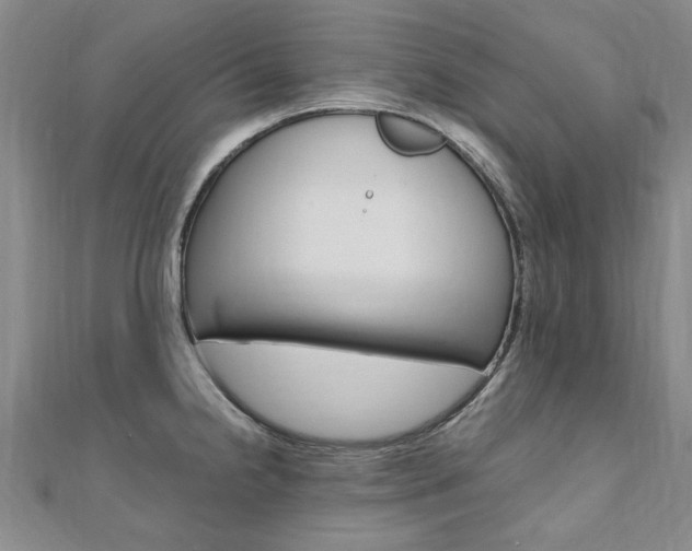 X0000110891238200906180959