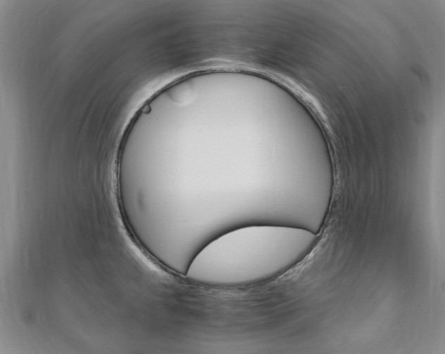 X0000110891239200906180959
