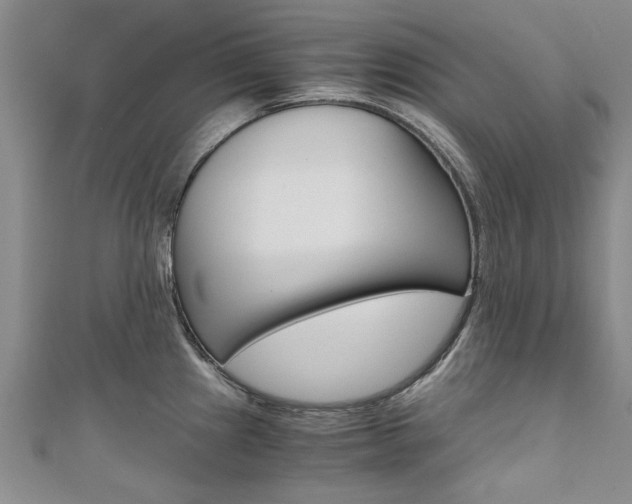 X0000110891241200906180959