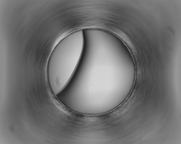 X0000110891242200906180959