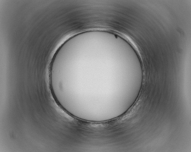X0000110891243200906180959