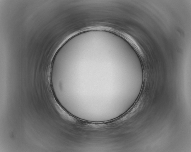 X0000110891244200906180959
