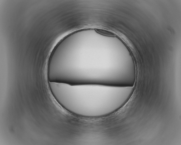 X0000110891246200906180959
