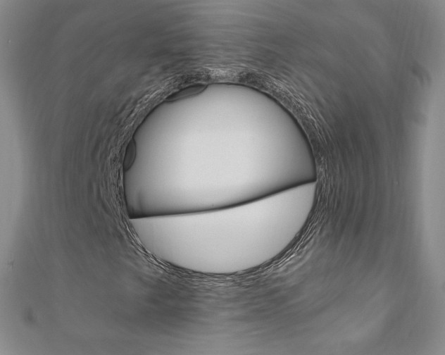 X0000110891249200906180958
