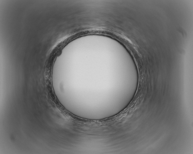 X0000110891255200906180958