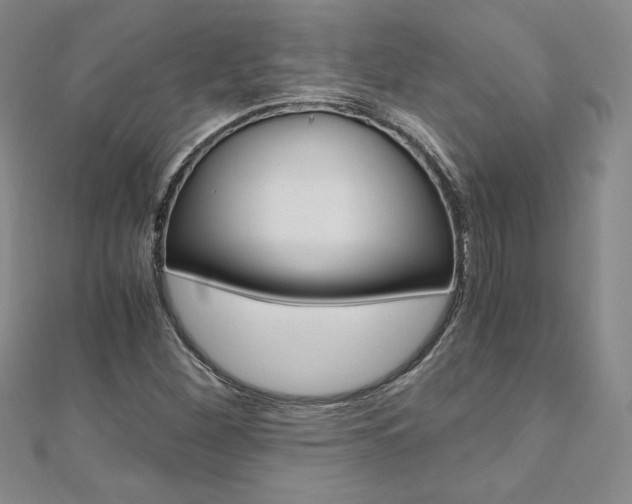 X0000110891260200906180958