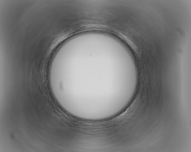 X0000110891261200906180958