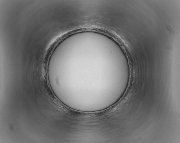 X0000110891262200906180958