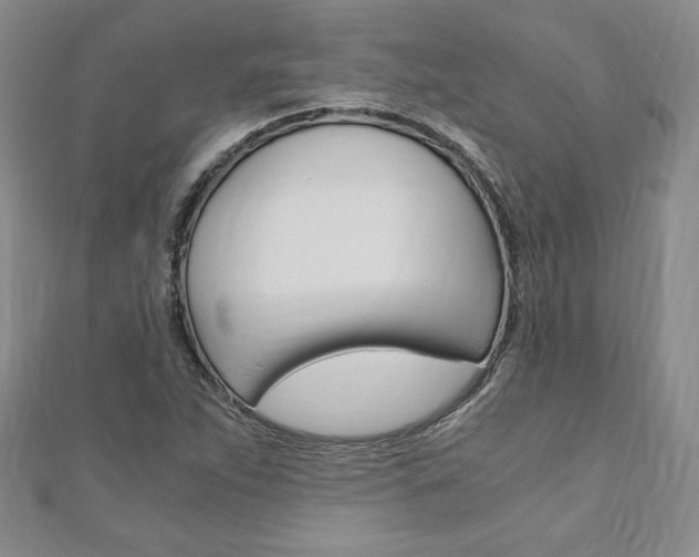 X0000110891263200906180958