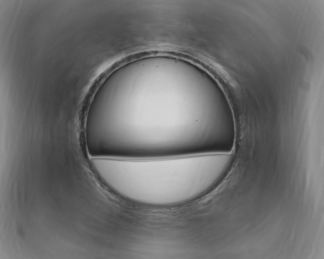 X0000110891264200906180958