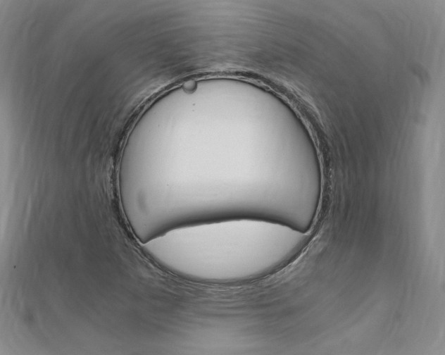 X0000110891265200906180958