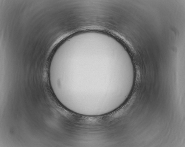 X0000110891266200906180958