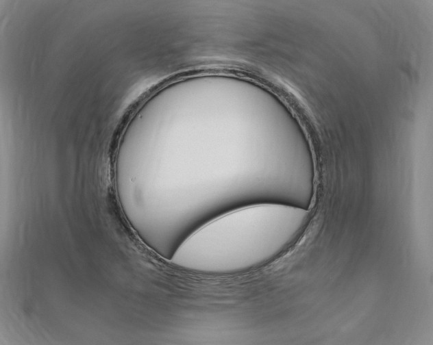 X0000110891267200906180958