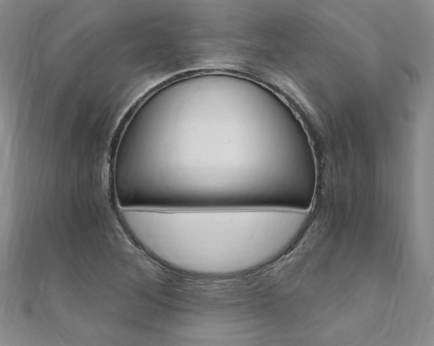 X0000110891268200906180958