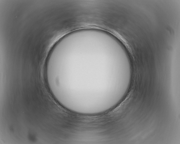 X0000110891269200906180958