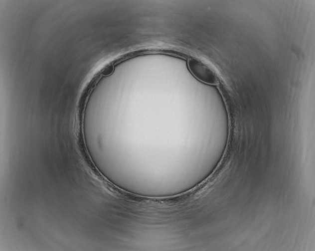 X0000110891270200906180958