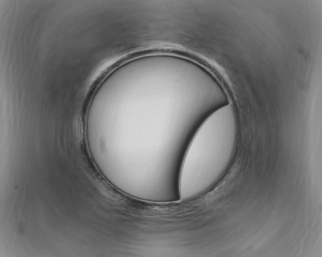X0000110891271200906180958
