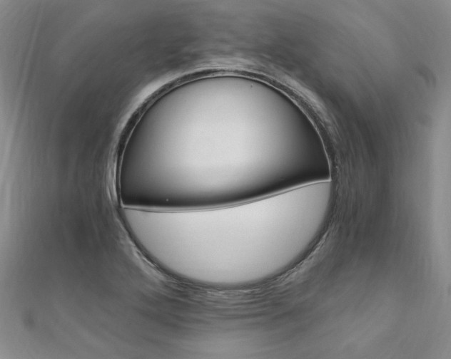 X0000110891272200906180958