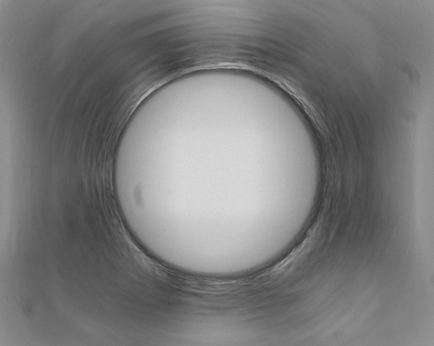 X0000110891273200906180958